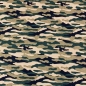 Preview: Baumwolljersey Tarnmuster Grün Beige